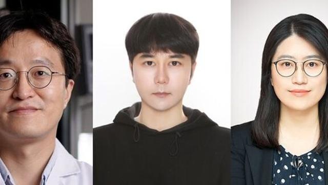 “자연에서 배운 인공광합성”···새로운 태양광 수소 생산 기술 등장