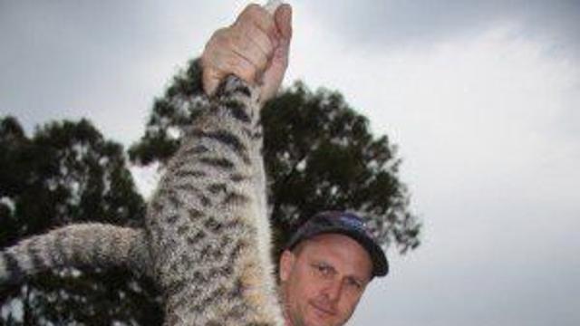 호주에서 길고양이 기를쓰고 죽이는 이유 