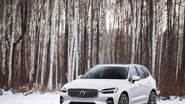 XC60, 윈터 에디션 60대 한정 판매…에어 서스펜션 등 적용