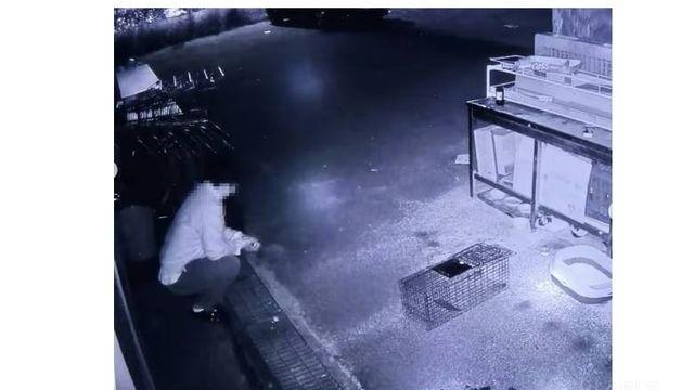 쇠막대기로 길냥이 학대, 유명 쉐프였다?… SNS 계정 폐쇄..