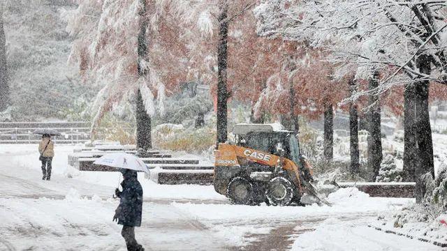 서울, 117년만에 폭설 기록 경신