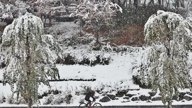 [내일날씨] 전국 곳곳 눈과 비...수도권 예상적설량 1~5cm