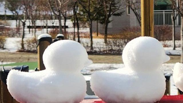 내일날씨, 서울·수도권 