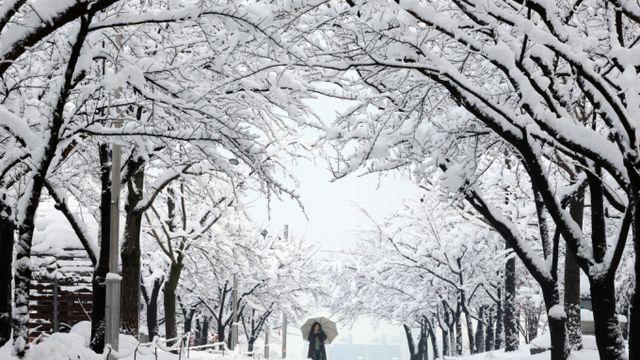 [오늘 날씨] 전국, 눈 내리고 영하 날씨… 