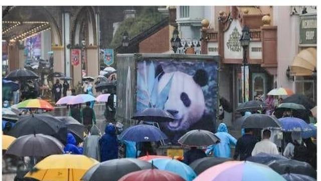 사랑받는 곰, 사살되는 곰			ㅎㄷㄷ