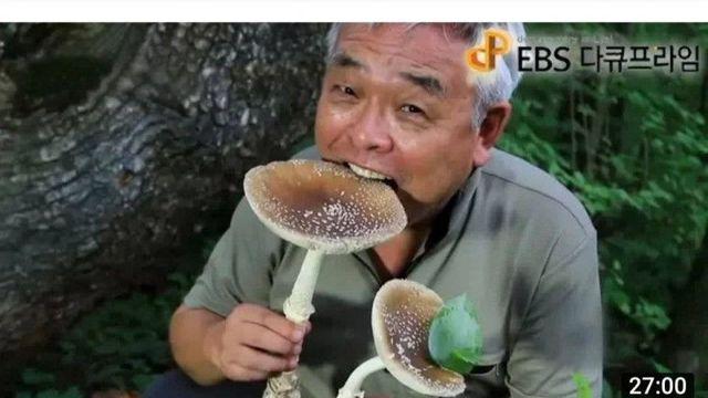 EBS 채널 썸네일 어그로 수준