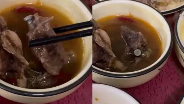 아래 보신탕은 머 별거아니고 우린 이건 안먹는다.