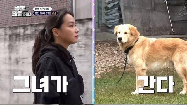 은지원, 지하철역 '멧돼지 출몰+총격전'에 '충격'[동물은훌륭하다]..