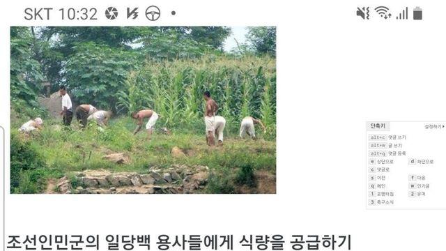 북한군 평균식사 ㄷㄷ