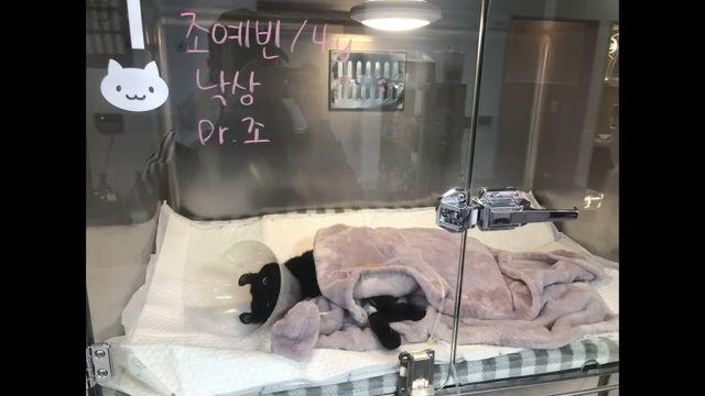 어이가없는 공사업체의 태도 ㄷㄷ 