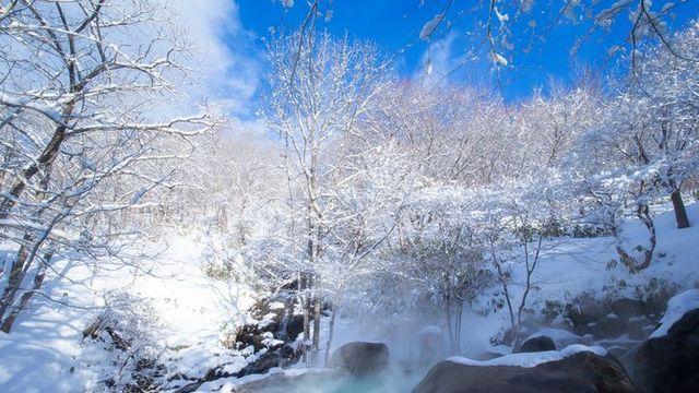 호시노 리조트 오이라세계류 호텔 겨울의 전세 노천 온천 개장
