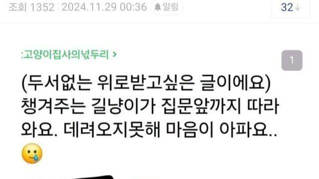 스압)아기 젖병물려놓고 길고양이 밥주러나간 캣맘,,
