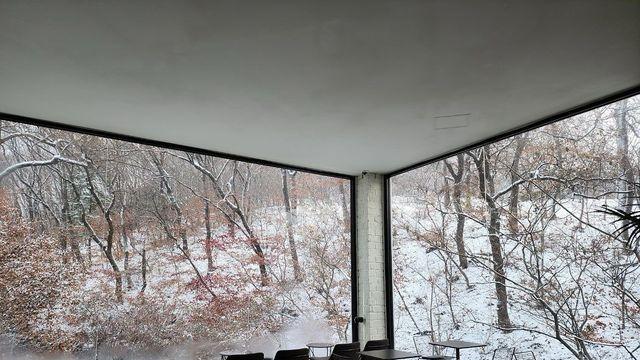 '눈멍'의 계절, 서울 근교 통창 카페 3