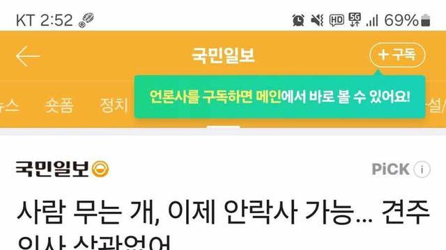 맹견 데리고 다니는 견주들 찔끔하겠네 ㅋㅋㅋㅋ..