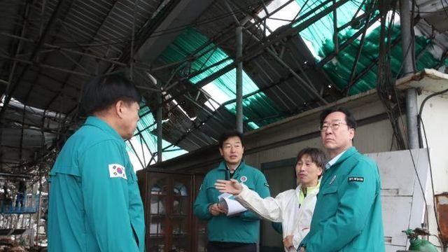 화성시, 특별재난지역 선포 건의... 폭설피해 조기수습에 나서