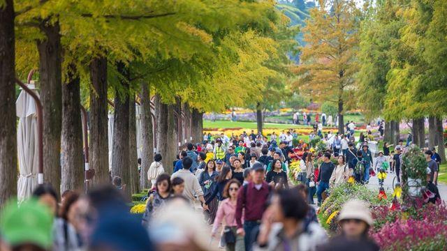 순천만국가정원, 방문객 400만명 돌파!...한달 남은 2024, 겨울왕국 국가정원서 특별한 추억을
