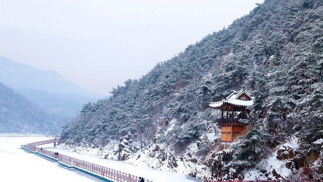 고려 사은(四隱) 발자취 따라 경북을 걷다!