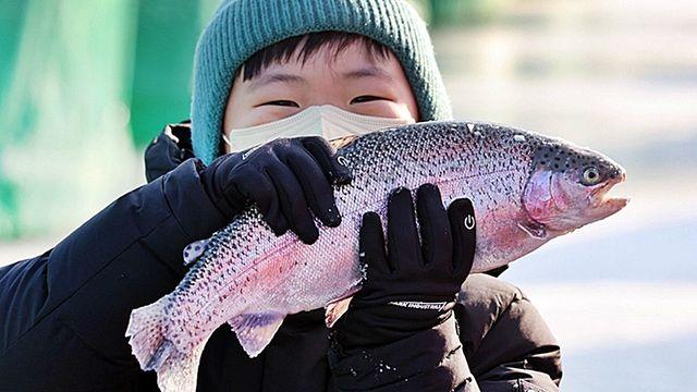 얼음 위의 축제!  강원도 평창·화천서 즐기는 겨울 낚시와 프로그램
