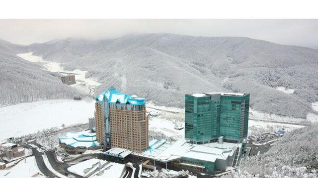 강원랜드, 400억 원 규모 자기주식 매입… 주가 안정 및 주주가치 제고