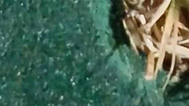대기 불안정 제주 곳곳서 '싸락우박' 관측