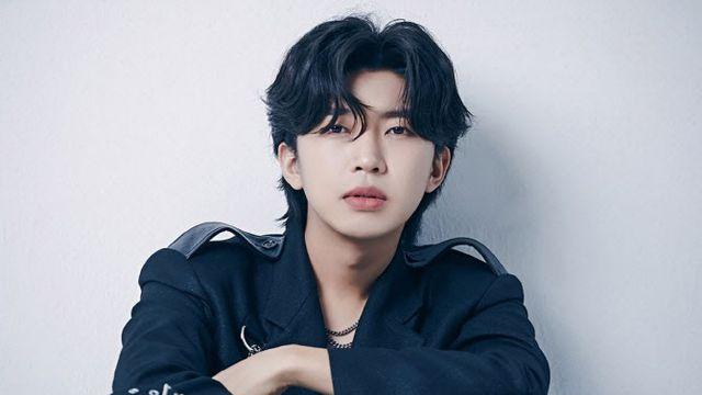 연예계, 탄핵 정국에 불똥… 임영웅·차은우 등 '수난'