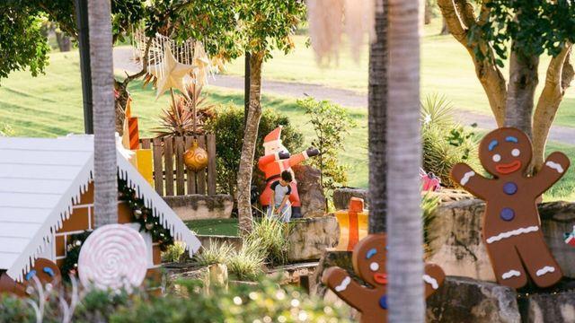 한여름의 크리스마스 보내러 '호주  퀸즐랜드주'로!