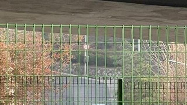 '방탄차' 나오고 용달차 들어가고…대통령관저 앞은 '정중동'