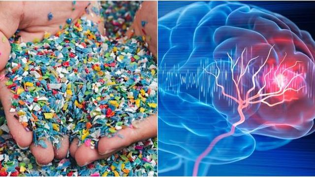 건강한 성인 89% 혈액에서 검출된 '이것'…그 양이 심상치 않다