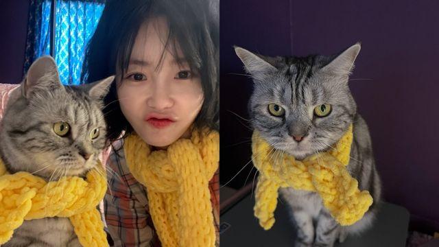 전효성, 고양이와 함께한 깜찍한 커플 스타일
