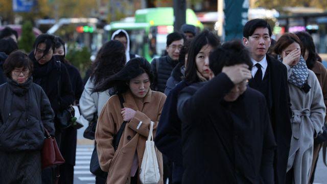 강풍에 ‘체감온도 뚝’…충남·전북·제주서 '대설특보'[내일날씨]