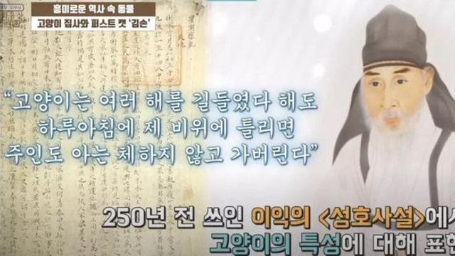 역사에 기록된 250년 전 고양이 습성