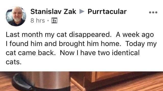 지난달 가출한 고양이를 찾아왔다.jpg..