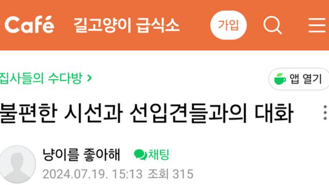 길고양이 때문에 친구랑 절교한 캣대디