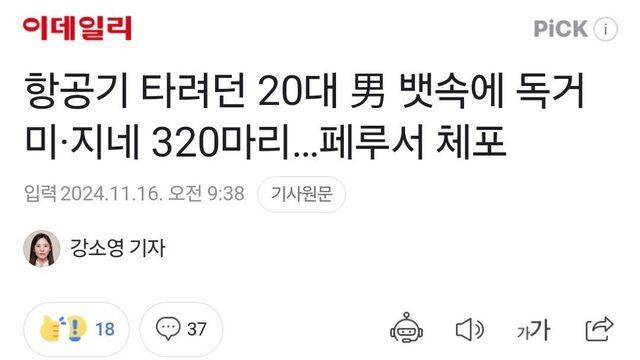 항공기 타려던 20대 한국 男 뱃속에 독거미·지네 320마리
