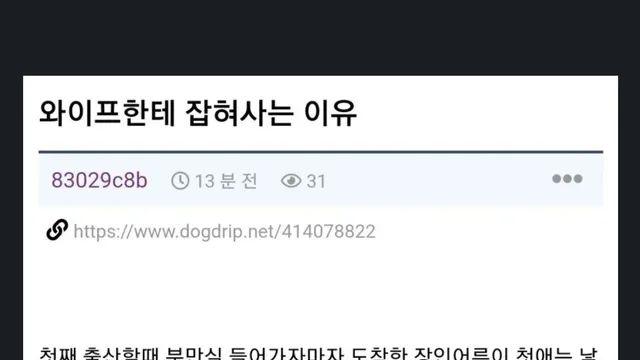 와이프에게 잡혀사는 이유.