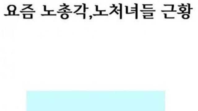 요즘 노총각 노처녀 근황.