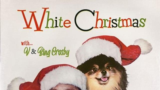 BTS 뷔, 군백기 맞아?…캐럴 '화이트 크리스마스' 美 빌보드 '핫 100' 진입