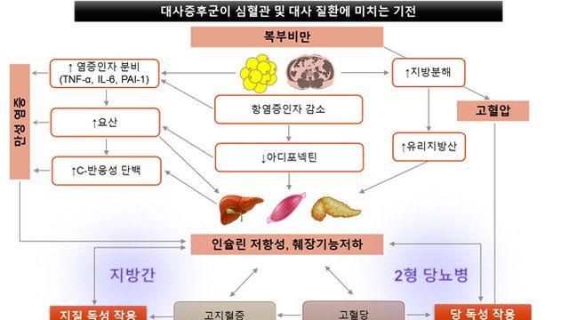 임수 교수, ‘대사증후군’ 최신 지견 집대성한 종설논문 네이처 리뷰에 발표