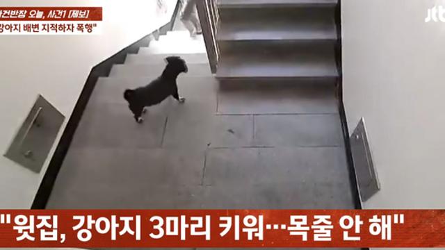 강아지 똥 치우라고 얘기했다가 폭행당한 사람 ㄷㄷ