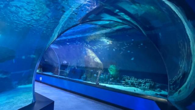 부산에서 아이들과 함께하는 겨울 여행, 가볼만한 명소 추천