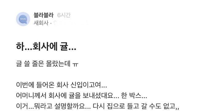 신입인데 어머니가 회사로 귤 보냈어요