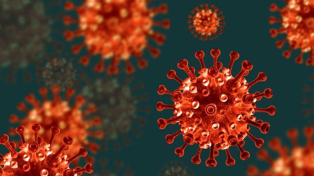 “세포 노화, 종양 바이러스 감염 취약성 높여”[연구]