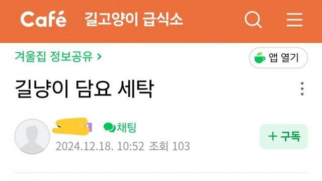 ㄱㄱ)길냥이 담요 세탁방가서 돌려도 될까요??