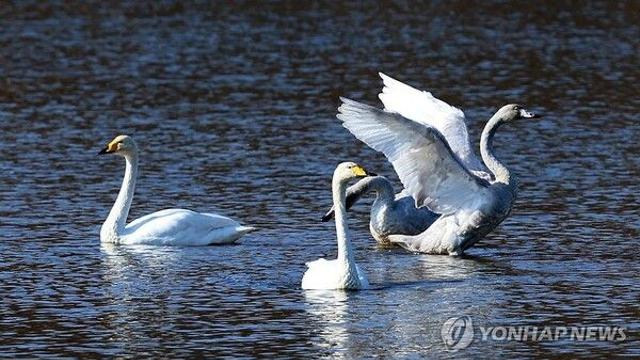 [날씨] 오늘 흐리고 곳곳 눈비…수도권 미세먼지 '나쁨'