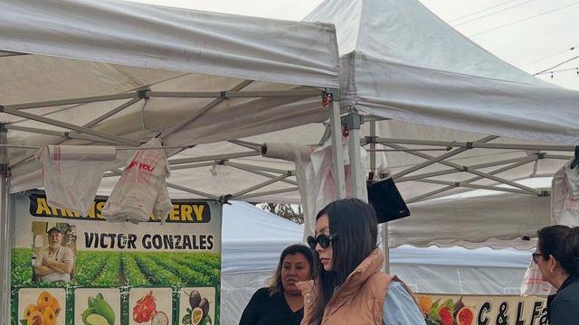 황신혜, 퀼팅 조끼와 플리츠 스커트로 완성한 '시크한 믹스매치' 룩