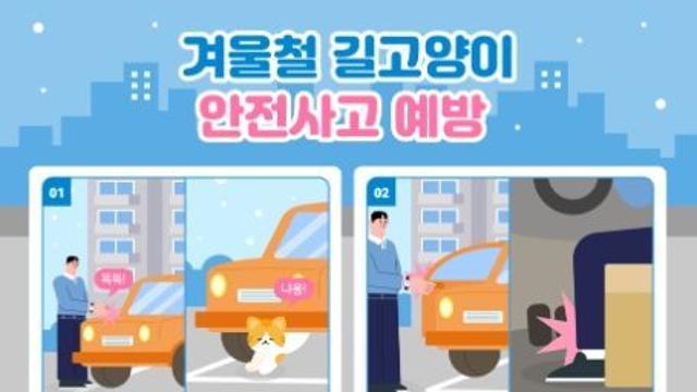 농식품부, 겨울철 차량 엔진룸 안에 숨어든 길고양이 시동 전 노크로 생명사랑 실천하세요!