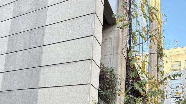 롱코트&부츠, 강추위 속에서도 스타일을 놓치지 않는 김지원의 패션 센스 