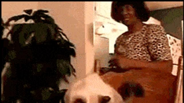 포크 사용하는 고양이.gif,,