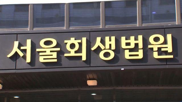 채권자협의회 구성·ARS 협의 방식 등 단계 구체화