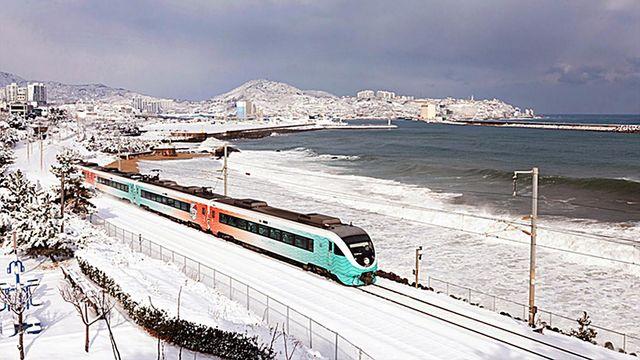 눈의 왕국으로… 연말, 연인·가족과 함께 떠나고 싶은 이들 위해 특별한 열차 준비